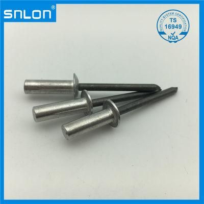 Aluminium Sealed Blind Rivet Stainless Steel for Auto Parts