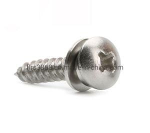 Customized Cross Recessed Pan Head Tapping Screw and Plain Washer Assembly