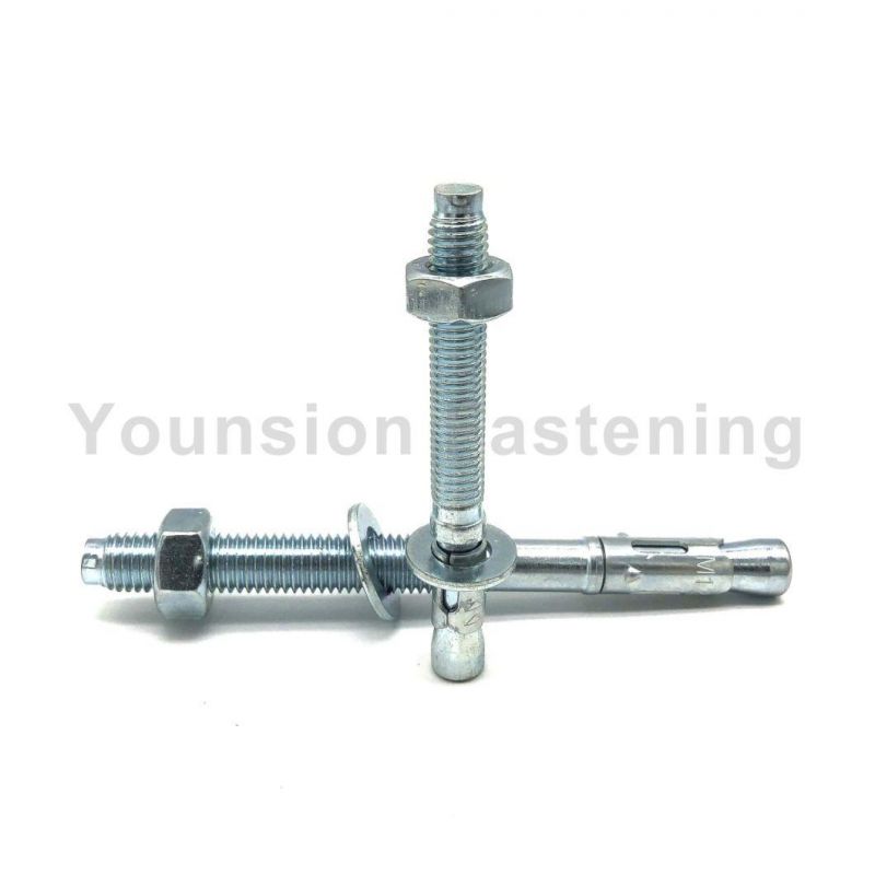 White Blue Zp Carbon Steel with Mark Lined Wedge Anchor/Through Bolt/Drop-in Wedge Anchor