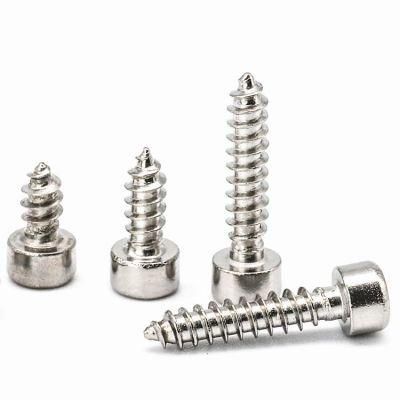 Stainless Steel 304 Hexagon Socket Cheese Head Self Tapping Wood Screw