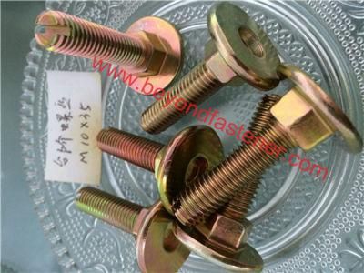 Step Screw Big Head Screw/Step Bolts/Special Bolts