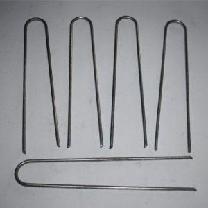 Fence Staple SOD Staple Grass Land Nails for Wholesales