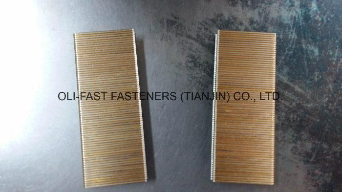 7/16" Crown N Staples, 16ga, Bedding Nail