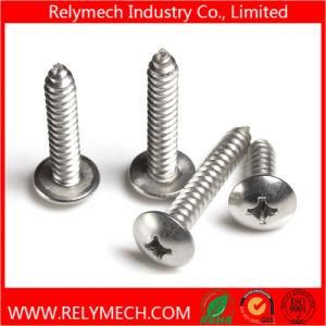Phillips Truss Head Self-Tapping Screw in Stainless Steel 304