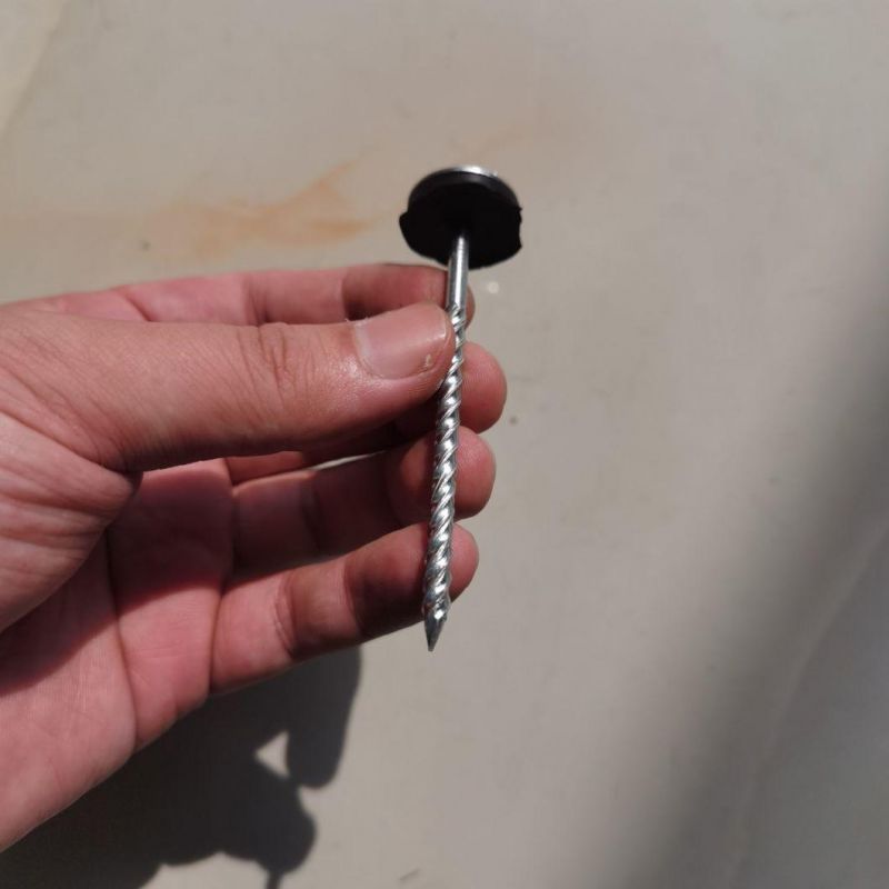 Guinea Congo Ethiopia Market/Best Price Twisted Nail/Common Nail