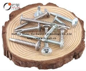 Carbon Steel Galvanized Cross Pan Head Self-Drilling Screw for Building Fastener Round Washer Good Quantity