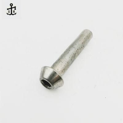 Customized Good Quality Hex Socket Button Head Machine Screws Hexagon Rivets