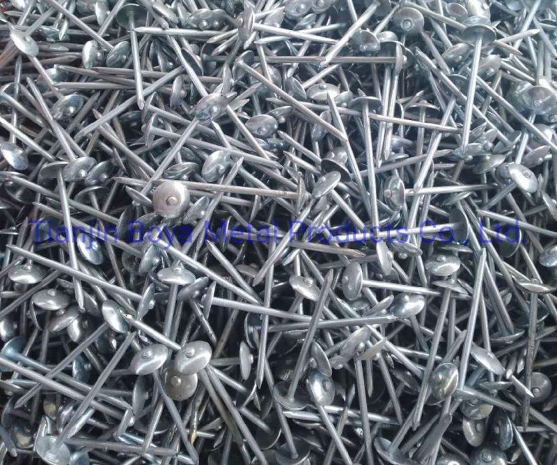 Roofing Nails Nail Iron Nail Roofing Nails Iron Material Q235 and Galvanized Roofing Nail with Umbrella Head