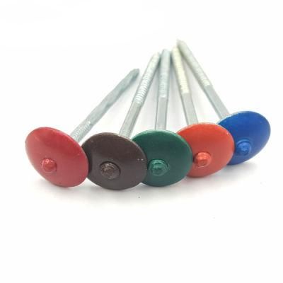 Colored Roofing Nail with Umbrella Head