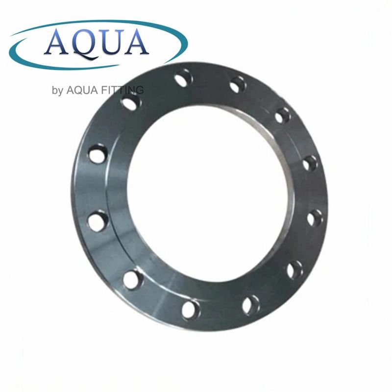 ANSI/DIN/En1092-1 Forged Carbon Plate RF/FF Pipe Flanges