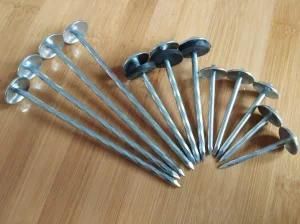 Clavos, Roofing Nail, Roofing Nails Factory