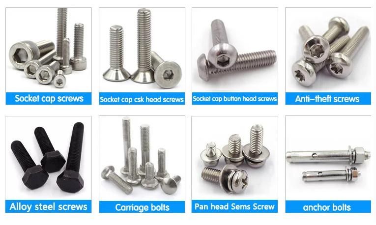Stainless Steel Hex Socket Head Cap Screw DIN912 Allen Bolt