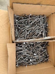 Common Nail Manufacturer Iron Nail Hardware Factory