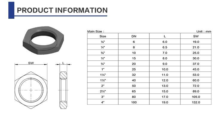 Polished Stainless Steel Female Thread Casting Hex Nut