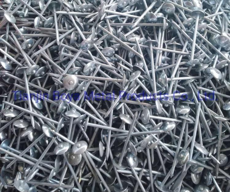 Good Quality Galvanized Umbrealla Head Roofing Nails 25kg Bag