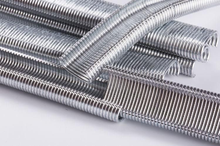 Direct Buy China Zinc Plated Silver SGS Standard Mattress Staples Ring Nail