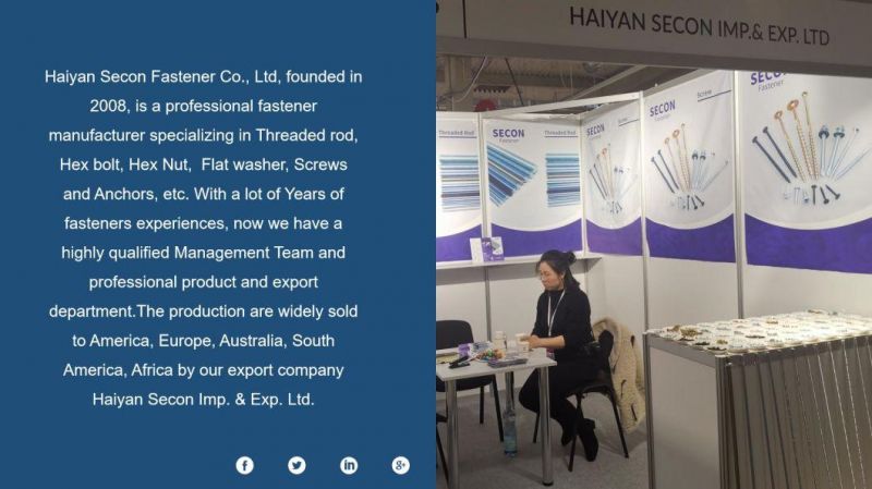 China Factory Hexagon Head Bolt/Hex Bolt and Nut/Hex Head Cap Screw/Carriage Bolt/Flange Bolt/Hex Heavy Bolt/Anchor Square Bolt/Stud Bolt/T Bolt/Shoulder U Bolt