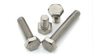 Stainless Steel Hex Bolt and Nut