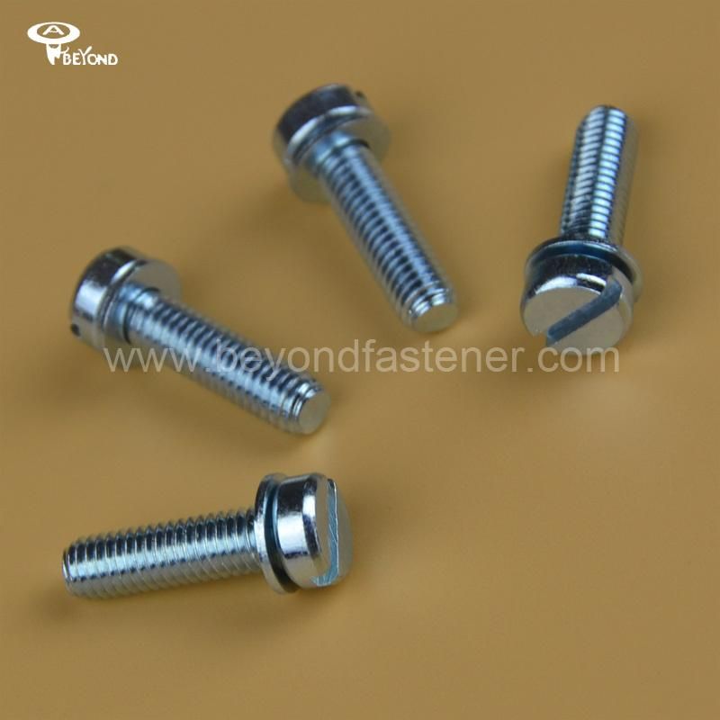 Sealing Screw/Sealing Bolts/Bolts/Hole Screw/Seal Screw