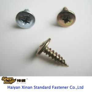 Self Tapping Screw/Galvanized C1022 Tapping Screw Tornillos Modified Head Screw