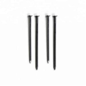 Quality Round Head Common Wire Nails From Direct Factory