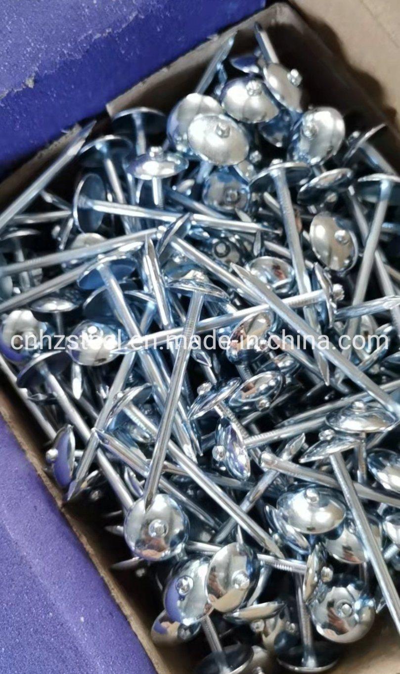 New Product Stock Common Wire Nail /Steel Concrete Nail / Twisted Nail