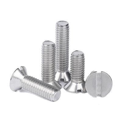 DIN963 Slotted Cheese Head Screw Stainless Steel