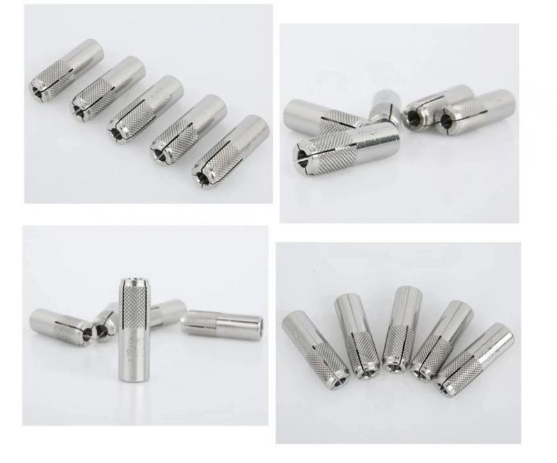 Stainless Steel SS304 SS316 Drop in Anchor Expansion Anchor
