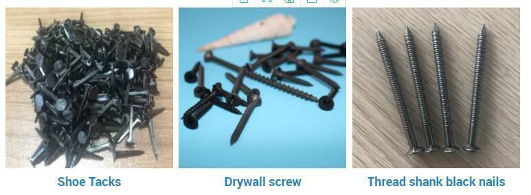 Best Price Galvanized Roofing Felt Clout Nail, Hotsale 2 Inch Plain Head Nails Polished Common Nail
