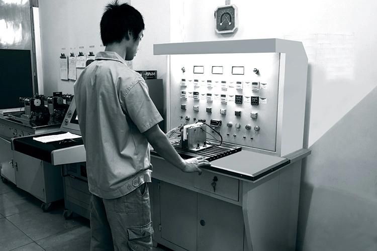 Custom All Kinds of Spherical Spring Washer