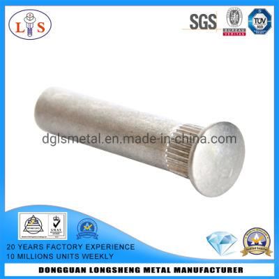 Round Head Solid Rivets with Excellent Quality