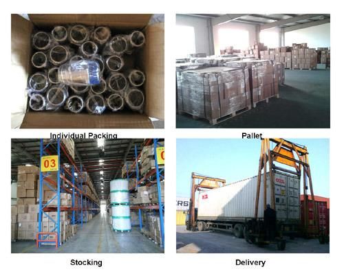 EUR Type Carbon Steel Universal Crowfeet Hose End Coupling