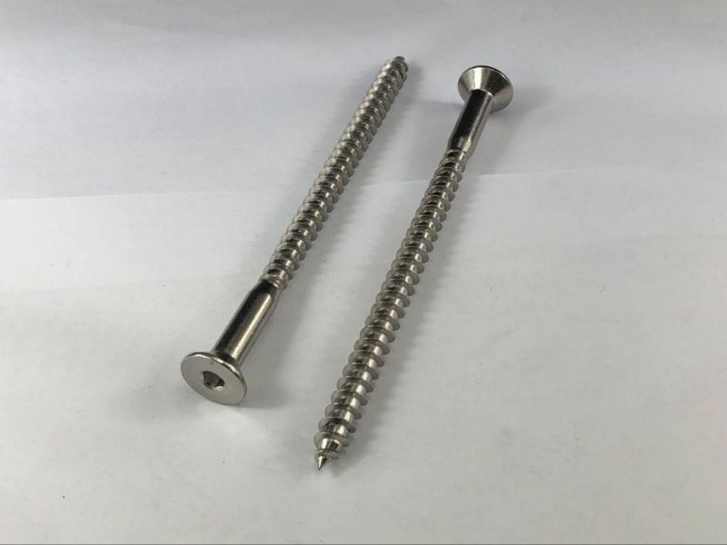 Stainless Steel Hex Lag Screw