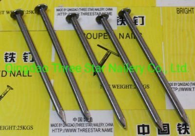 Vietnam Philippines Singapore Market/Boat (ELLIPTICAL) Nails/Galvanized Square Boat Nails/3inch Boat Nails