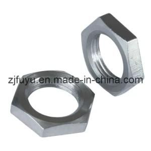 Hex Nuts (FYSF-0019)