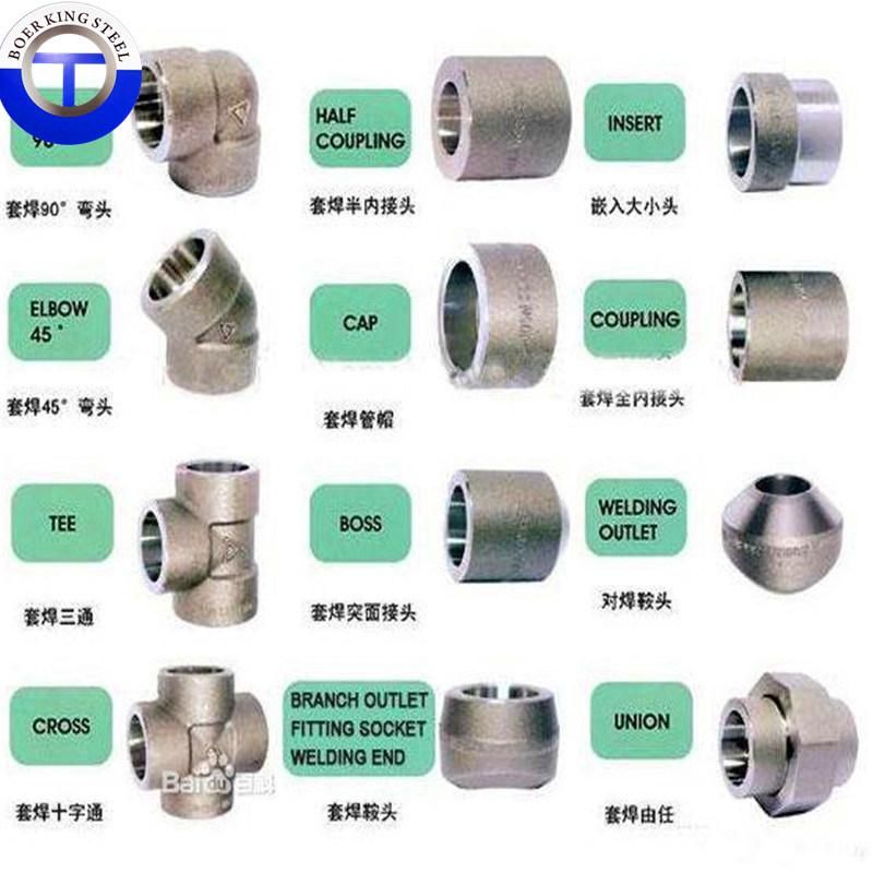 Forged Weld Neck (WN) Pipe Ss 316 SS304 Stainless Steel Flange