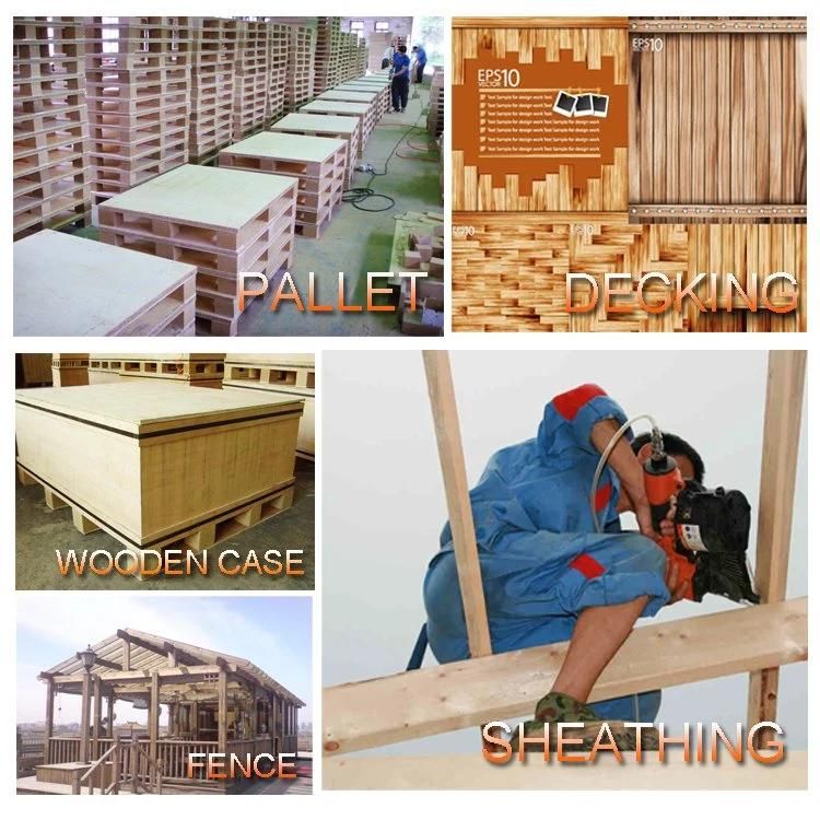 Galvanized Collated Nails for Roofing, Fencing