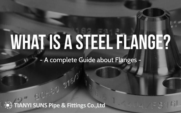 China Casting Ss Flange ANSI B16.5 Class 150