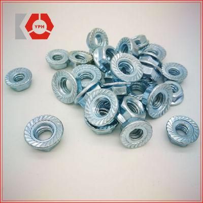 High Quality Carbon Steel Nut DIN6923 Cheap and White