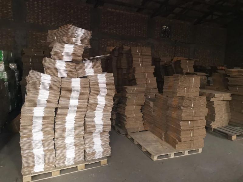 New Building Material Electric Galvanized Plastic Head Roofing Nail