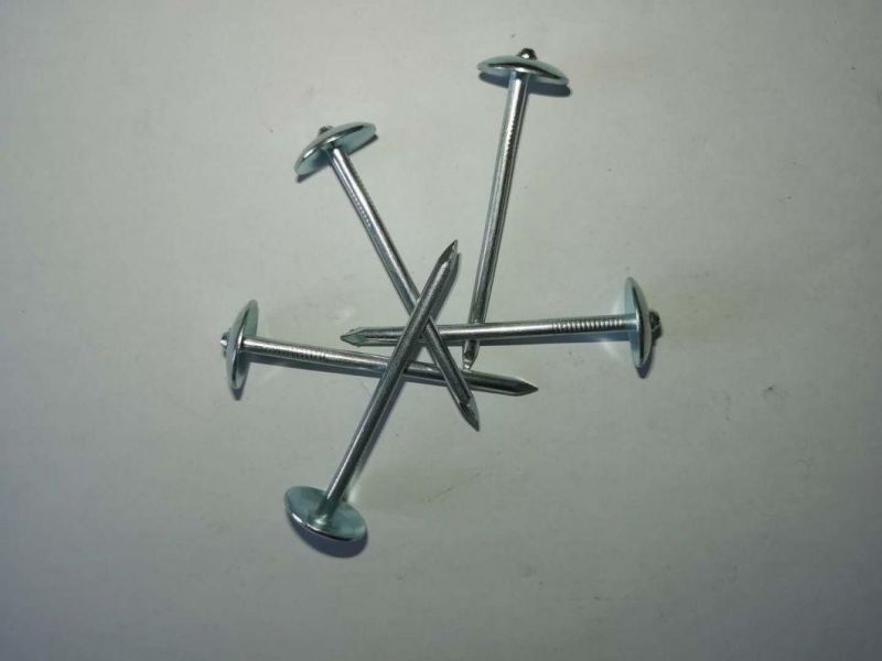 Factory Manufactured Galvanized Smooth/Twisted Shank 2.5"*Bwg9 Umbrella Head Roofing Nails
