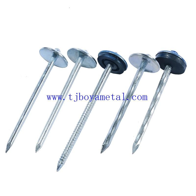 Twisted Shank Umbrella Head Galvanized Roofing Nails with Rubber Washer