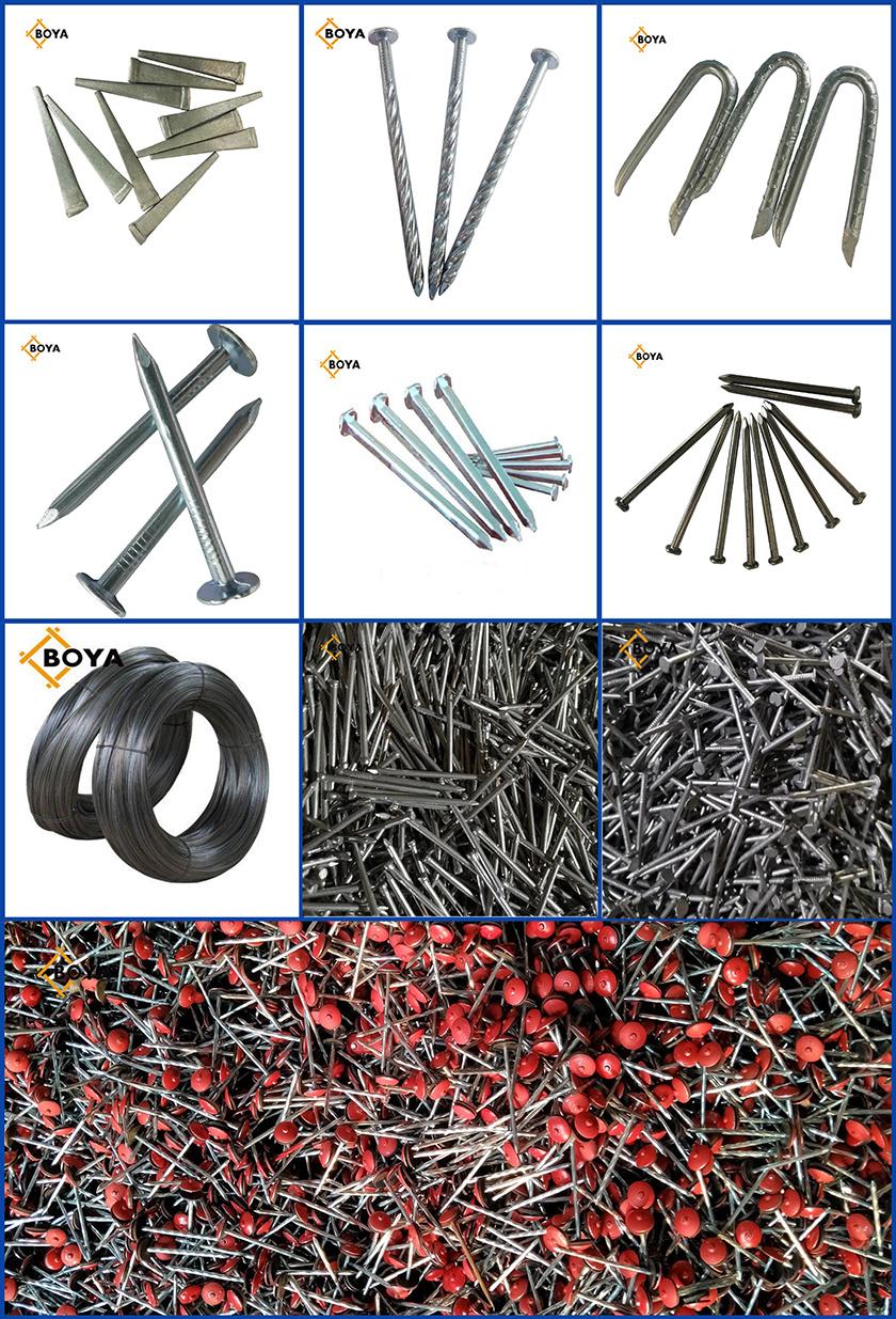 High Quality Polished Common Nails/Hardware/Galvanized/Hot Dipped Galvanized/Electro Galvanized Iron Nail From Tianjin Boya