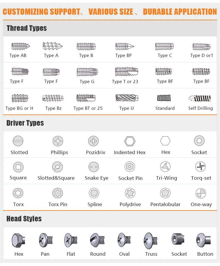 Customized Stainless Steel Hex Socket Cap Head Machine Screws