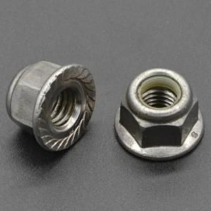 Plain Finished Nylon Flange Nut (CZ236)