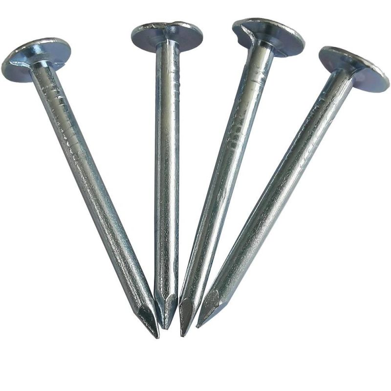 Electro Galvanized Clout Nail with Cheap Price