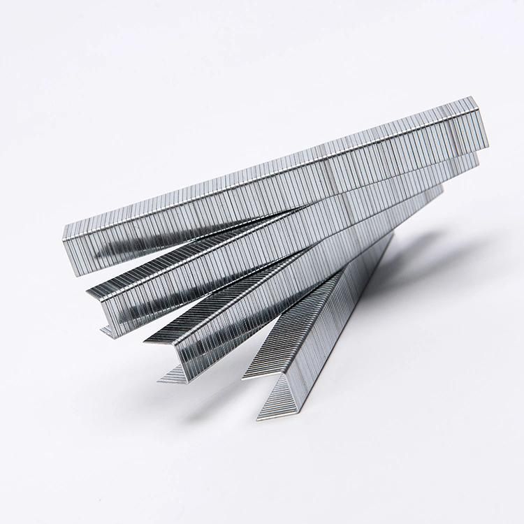 Standard Nails Silver Galvanized Wire Pins Staples