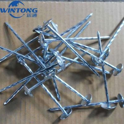 Galvanized Corrugated Sheet Nails Hot Sale Twisted Shank Umbrella Head Roofing Nails