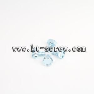 Special Custom Screw of Bike Screw