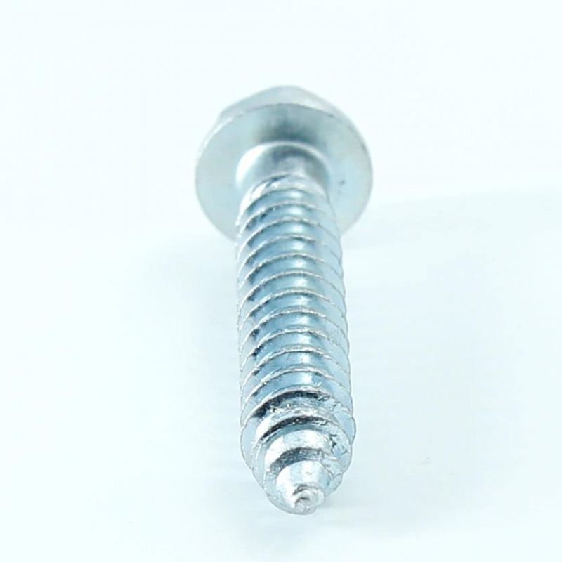 Chinese Manufacturer Customized DIN 571 All Sizes High Quality Hex Head Wood Screw
